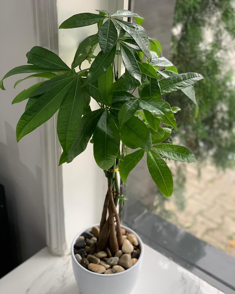 WhatsApp Image 2022-09-16 at 12.49.31 (1)