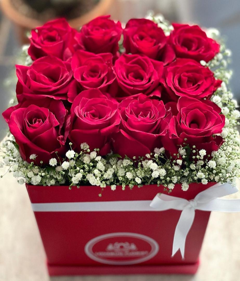 WhatsApp Image 2022-01-27 at 10.32.08 AM