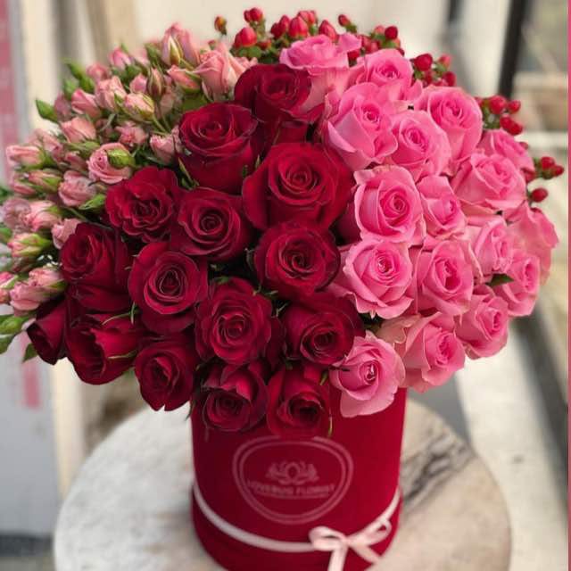 WhatsApp Image 2021-02-05 at 6.23.10 PM