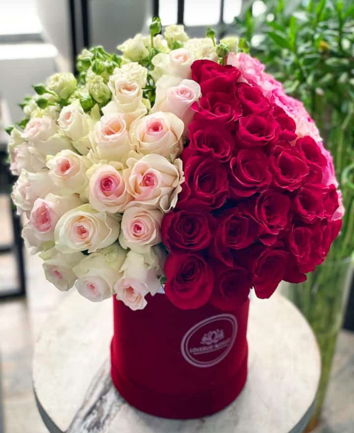 WhatsApp Image 2021-06-07 at 09.51.29