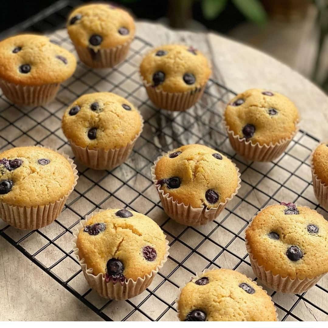 WhatsApp Image 2021-07-22 at 2.08.26 PM