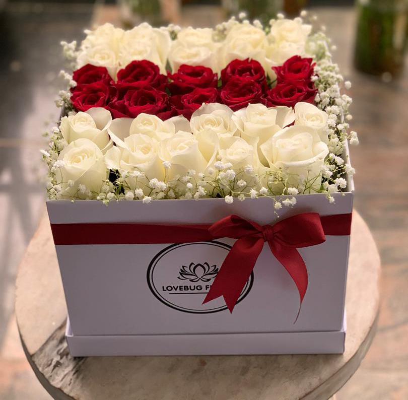 WhatsApp Image 2021-09-25 at 9.22.20 AM (2)