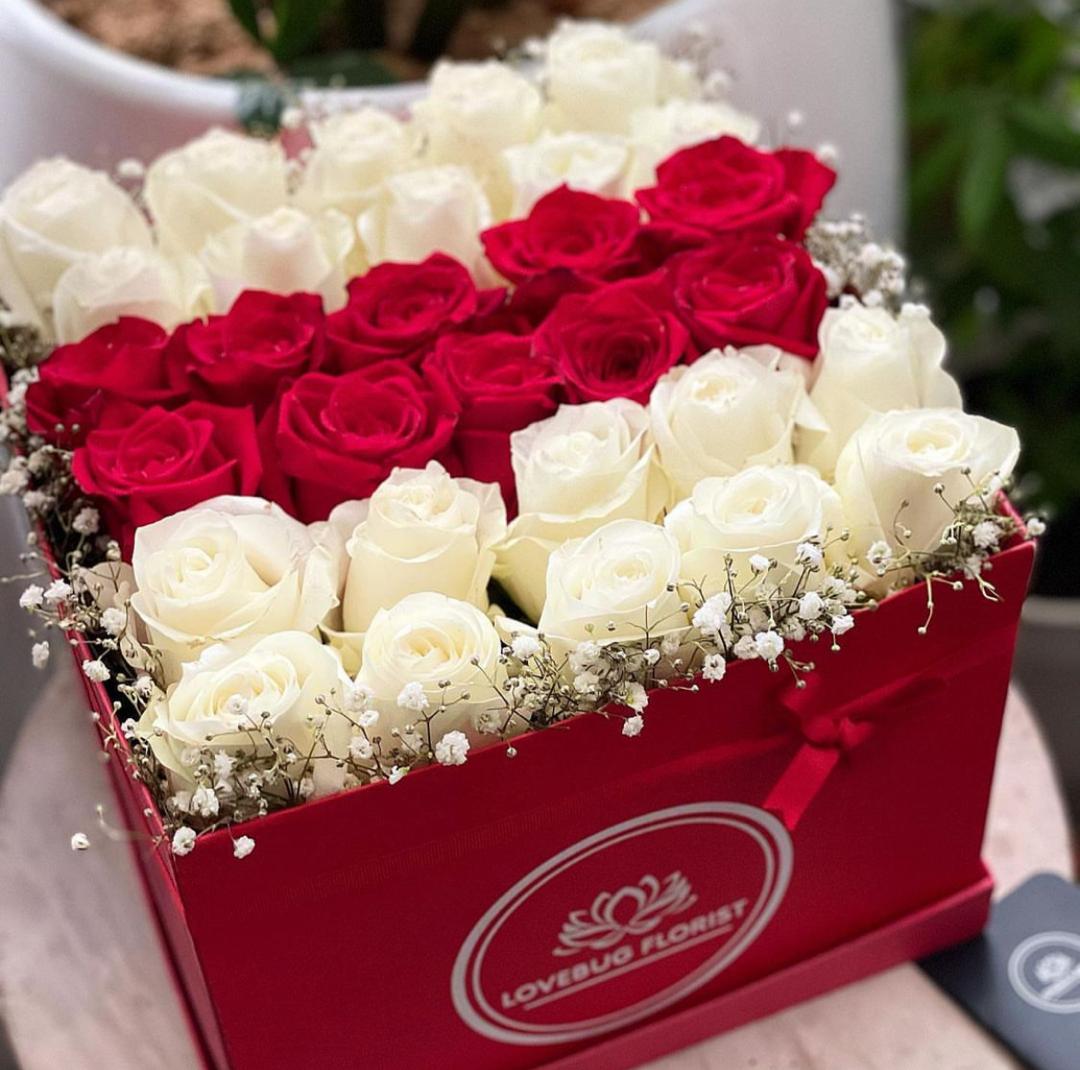 WhatsApp Image 2022-01-19 at 11.24.09