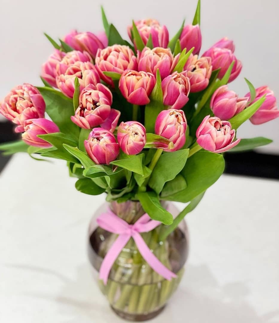 WhatsApp Image 2022-05-11 at 1.48.59 PM (1)