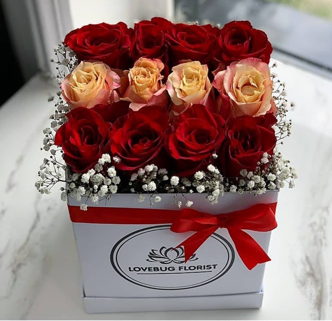 WhatsApp Image 2022-05-11 at 1.49.00 PM (1)