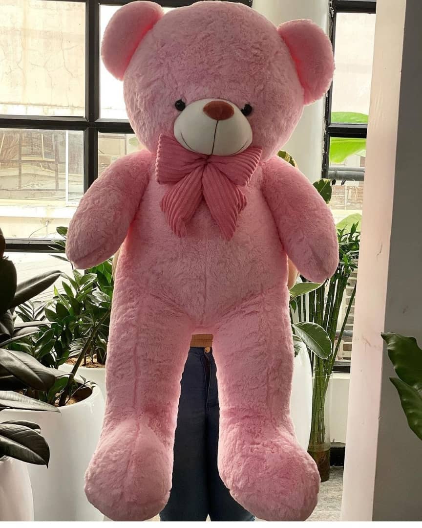 WhatsApp Image 2022-09-05 at 11.55.56 (2)