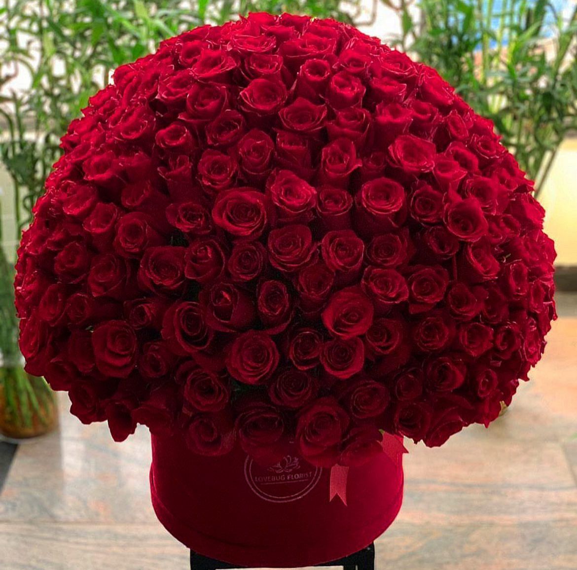 WhatsApp Image 2022-01-25 at 3.10.20 PM